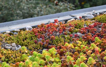 the cost of Great Canfield green roof installation