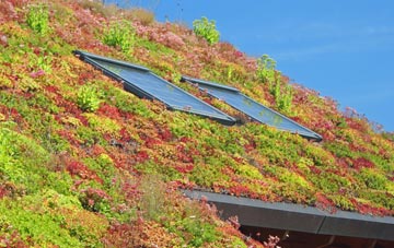 Great Canfield living roof systems